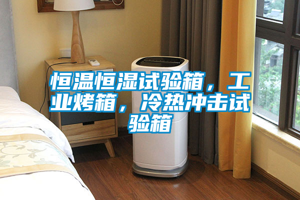 恒溫恒濕試驗箱，工業(yè)烤箱，冷熱沖擊試驗箱