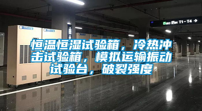 恒溫恒濕試驗箱，冷熱沖擊試驗箱，模擬運輸振動試驗臺，破裂強度