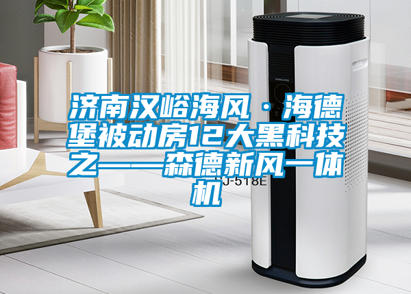 濟(jì)南漢峪海風(fēng)·海德堡被動房12大黑科技之——森德新風(fēng)一體機(jī)