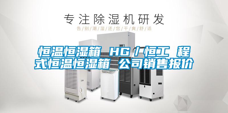 恒溫恒濕箱 HG／恒工 程式恒溫恒濕箱 公司銷(xiāo)售報(bào)價(jià)