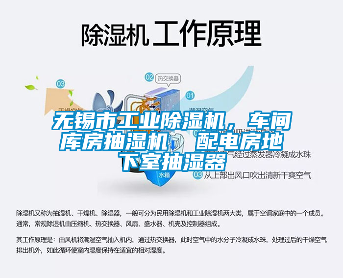 無錫市工業(yè)除濕機，車間庫房抽濕機  配電房地下室抽濕器