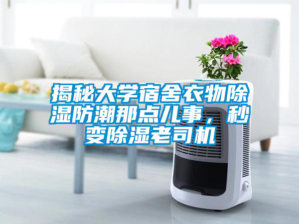 揭秘大學(xué)宿舍衣物除濕防潮那點(diǎn)兒事，秒變除濕老司機(jī)