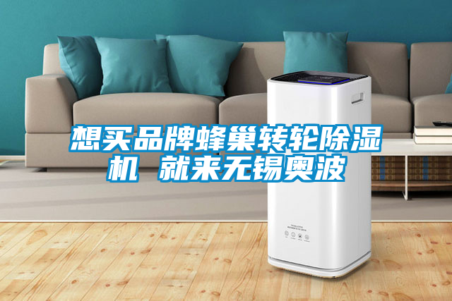 想買品牌蜂巢轉(zhuǎn)輪除濕機(jī) 就來無錫奧波