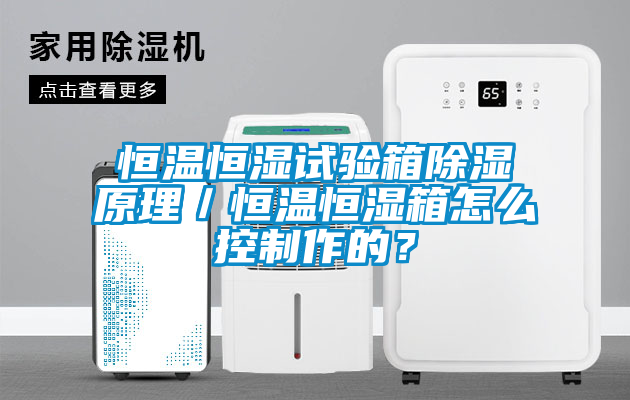 恒溫恒濕試驗箱除濕原理／恒溫恒濕箱怎么控制作的？