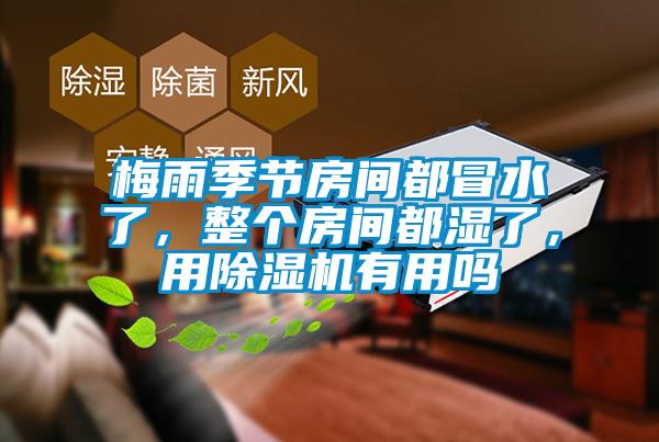 梅雨季節(jié)房間都冒水了，整個(gè)房間都濕了，用除濕機(jī)有用嗎