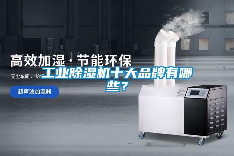 工業(yè)除濕機(jī)十大品牌有哪些？