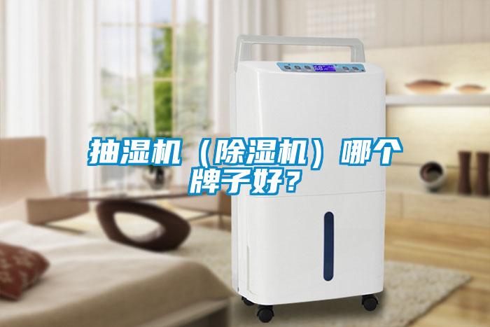 抽濕機（除濕機）哪個牌子好？