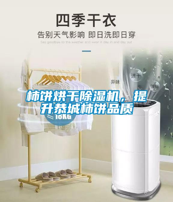 柿餅烘干除濕機，提升恭城柿餅品質(zhì)