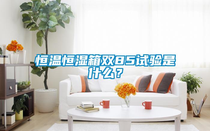 恒溫恒濕箱雙85試驗(yàn)是什么？