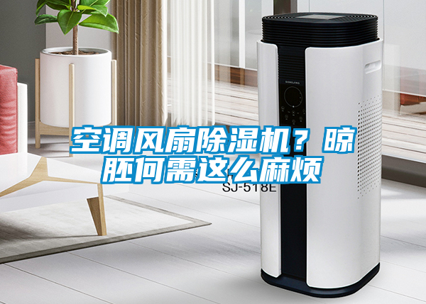 空調(diào)風(fēng)扇除濕機(jī)？晾胚何需這么麻煩