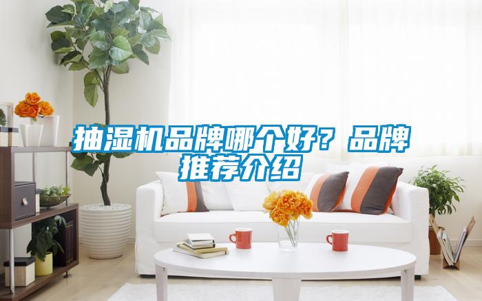抽濕機(jī)品牌哪個(gè)好？品牌推薦介紹