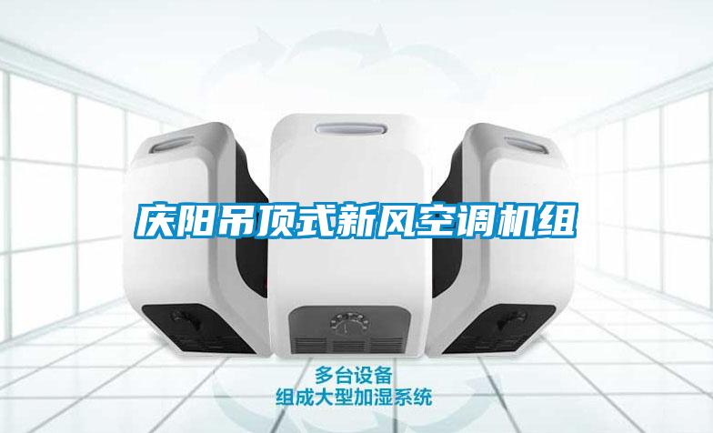 慶陽吊頂式新風空調(diào)機組