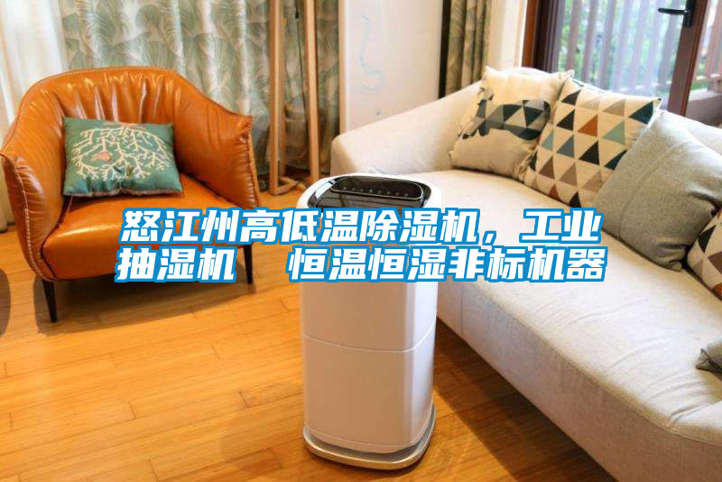 怒江州高低溫除濕機(jī)，工業(yè)抽濕機(jī)  恒溫恒濕非標(biāo)機(jī)器