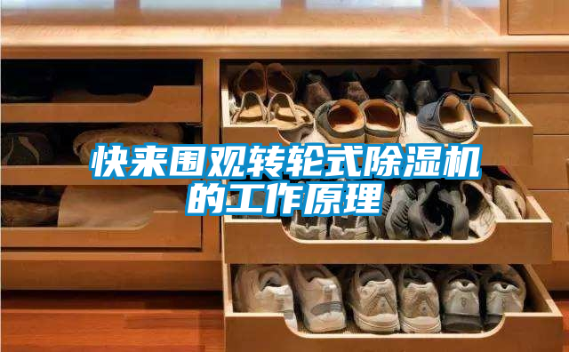 快來圍觀轉(zhuǎn)輪式除濕機的工作原理