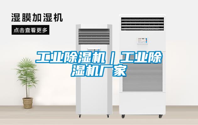 工業(yè)除濕機(jī)｜工業(yè)除濕機(jī)廠(chǎng)家