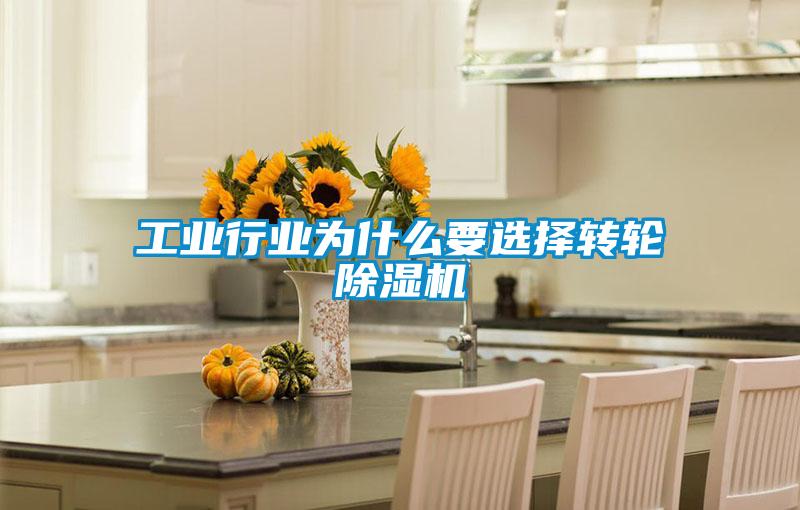 工業(yè)行業(yè)為什么要選擇轉(zhuǎn)輪除濕機