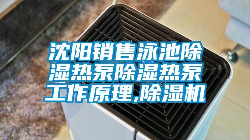 沈陽(yáng)銷(xiāo)售泳池除濕熱泵除濕熱泵工作原理,除濕機(jī)