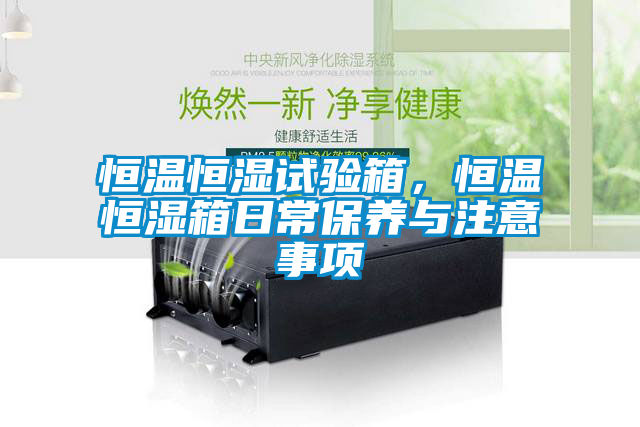 恒溫恒濕試驗箱，恒溫恒濕箱日常保養(yǎng)與注意事項
