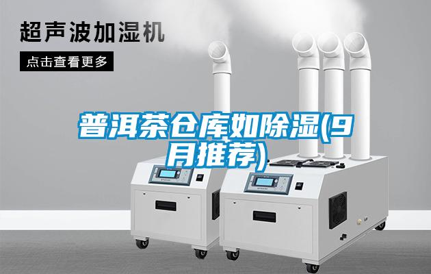 普洱茶倉(cāng)庫(kù)如除濕(9月推薦)