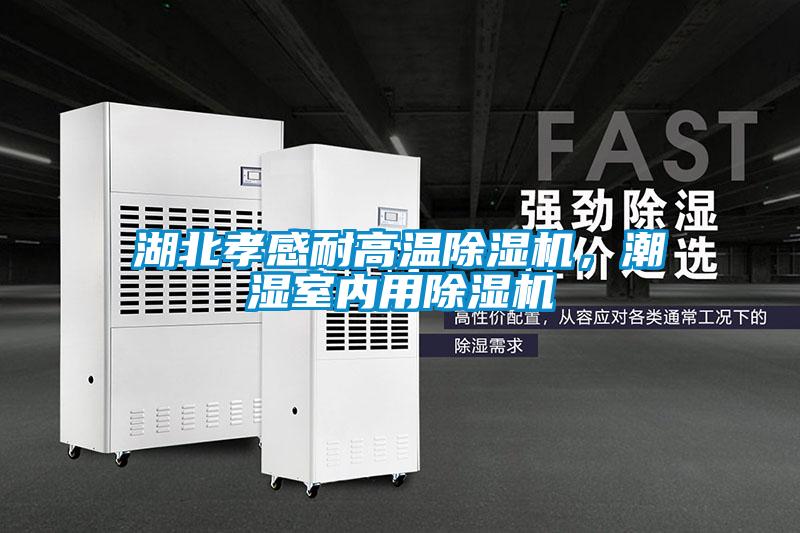 湖北孝感耐高溫除濕機(jī)，潮濕室內(nèi)用除濕機(jī)