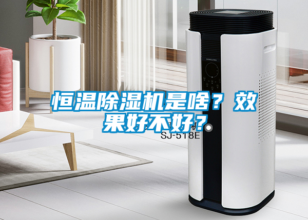 恒溫除濕機是啥？效果好不好？