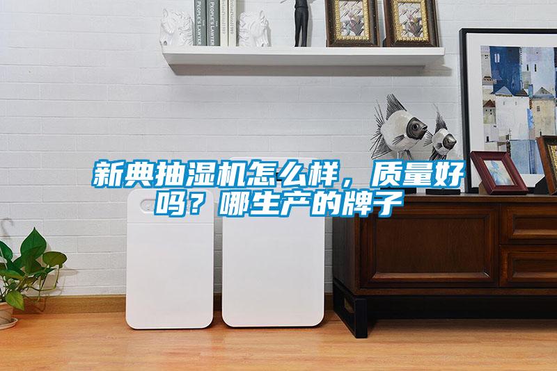 新典抽濕機(jī)怎么樣，質(zhì)量好嗎？哪生產(chǎn)的牌子