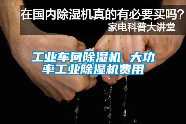 工業(yè)車(chē)間除濕機(jī) 大功率工業(yè)除濕機(jī)費(fèi)用