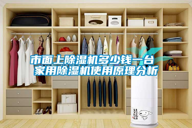 市面上除濕機(jī)多少錢一臺(tái) 家用除濕機(jī)使用原理分析