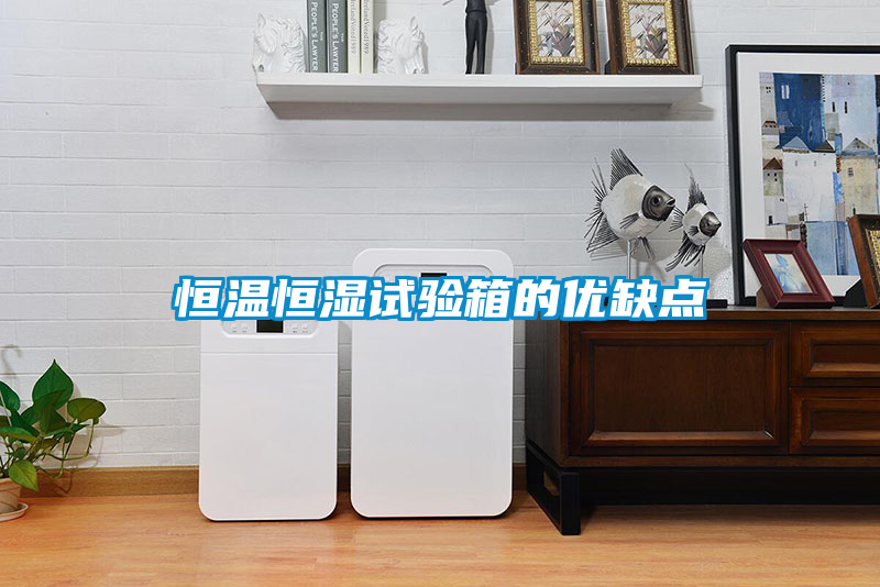 恒溫恒濕試驗(yàn)箱的優(yōu)缺點(diǎn)