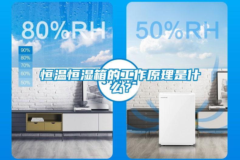 恒溫恒濕箱的工作原理是什么？