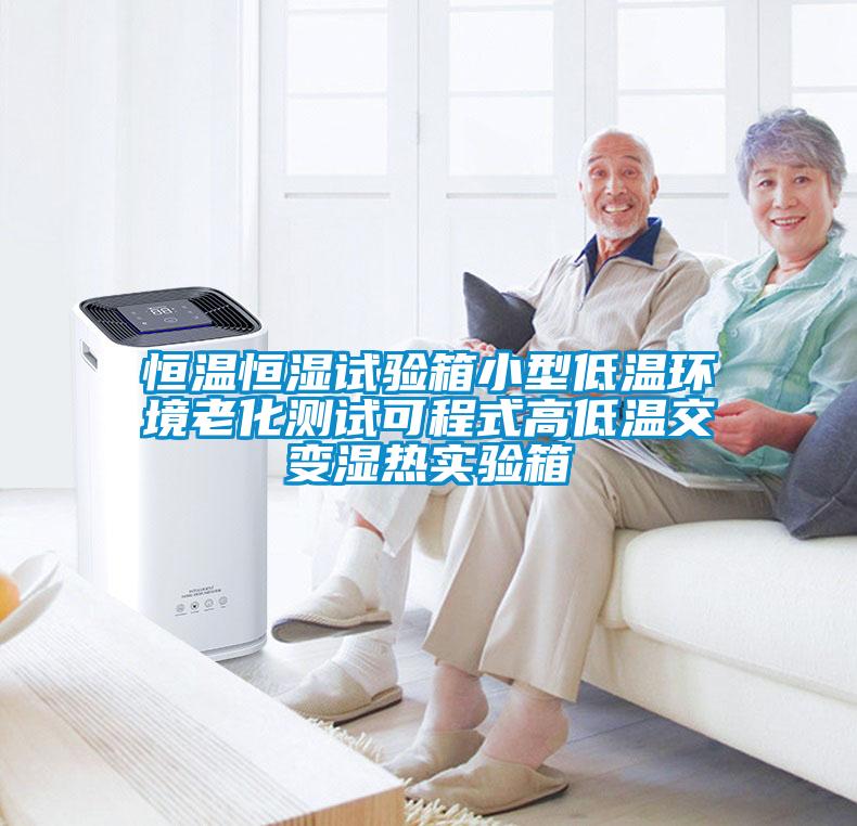 恒溫恒濕試驗(yàn)箱小型低溫環(huán)境老化測(cè)試可程式高低溫交變濕熱實(shí)驗(yàn)箱