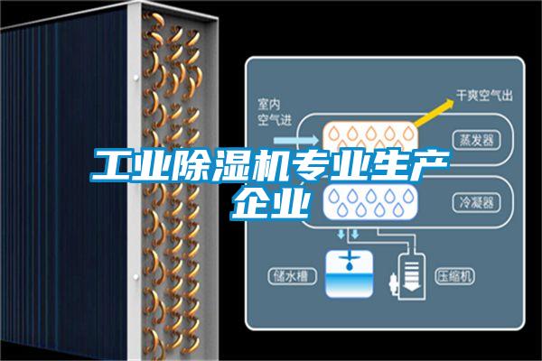工業(yè)除濕機專業(yè)生產(chǎn)企業(yè)