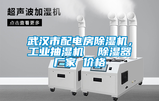 武漢市配電房除濕機(jī)，工業(yè)抽濕機(jī)  除濕器廠家 價(jià)格