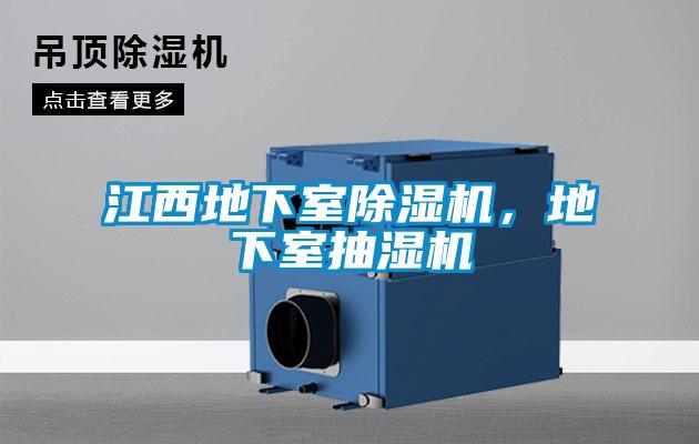 江西地下室除濕機(jī)，地下室抽濕機(jī)