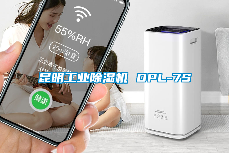 昆明工業(yè)除濕機(jī) DPL-7S