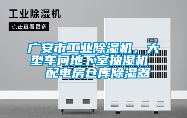 廣安市工業(yè)除濕機(jī)，大型車間地下室抽濕機(jī)  配電房倉庫除濕器