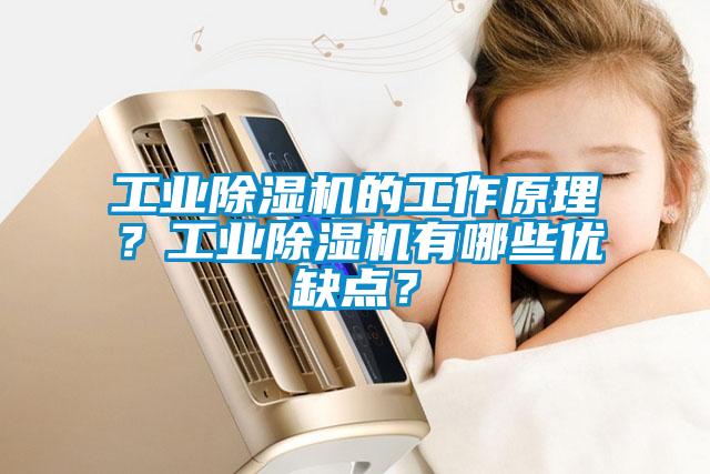 工業(yè)除濕機(jī)的工作原理？工業(yè)除濕機(jī)有哪些優(yōu)缺點(diǎn)？