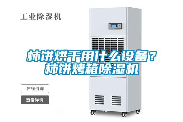 柿餅烘干用什么設(shè)備？柿餅烤箱除濕機(jī)