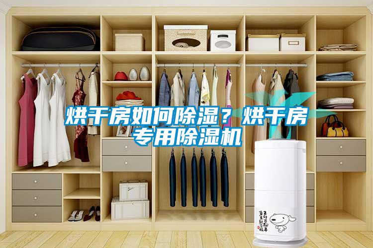 烘干房如何除濕？烘干房專用除濕機