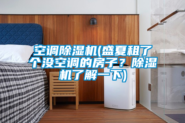 空調(diào)除濕機(jī)(盛夏租了個(gè)沒空調(diào)的房子？除濕機(jī)了解一下)