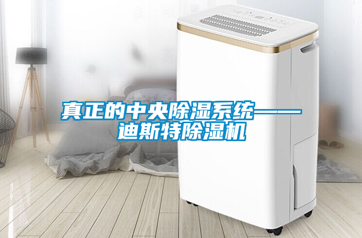 真正的中央除濕系統(tǒng)——迪斯特除濕機(jī)