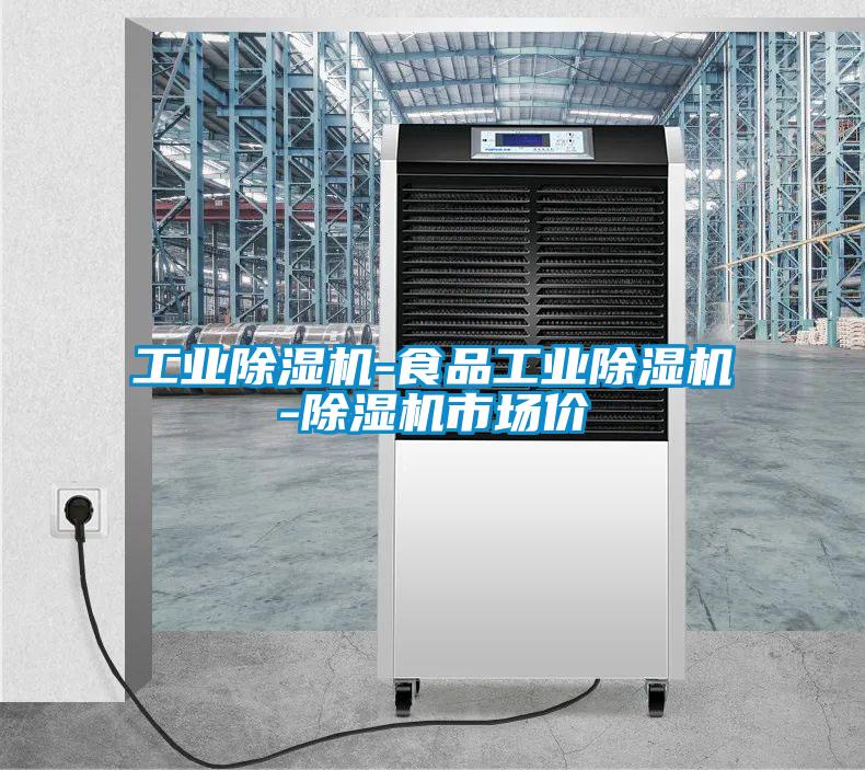 工業(yè)除濕機-食品工業(yè)除濕機-除濕機市場價