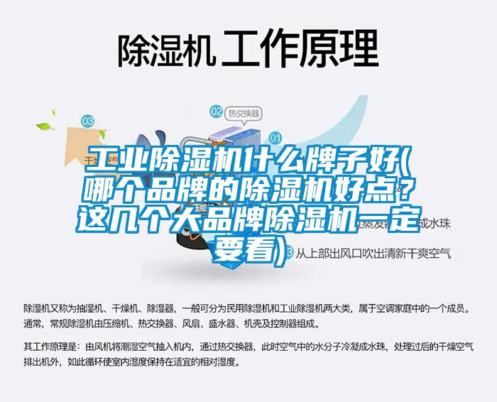 工業(yè)除濕機什么牌子好(哪個品牌的除濕機好點？這幾個大品牌除濕機一定要看)
