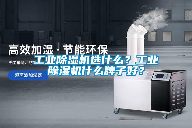 工業(yè)除濕機(jī)選什么？工業(yè)除濕機(jī)什么牌子好？