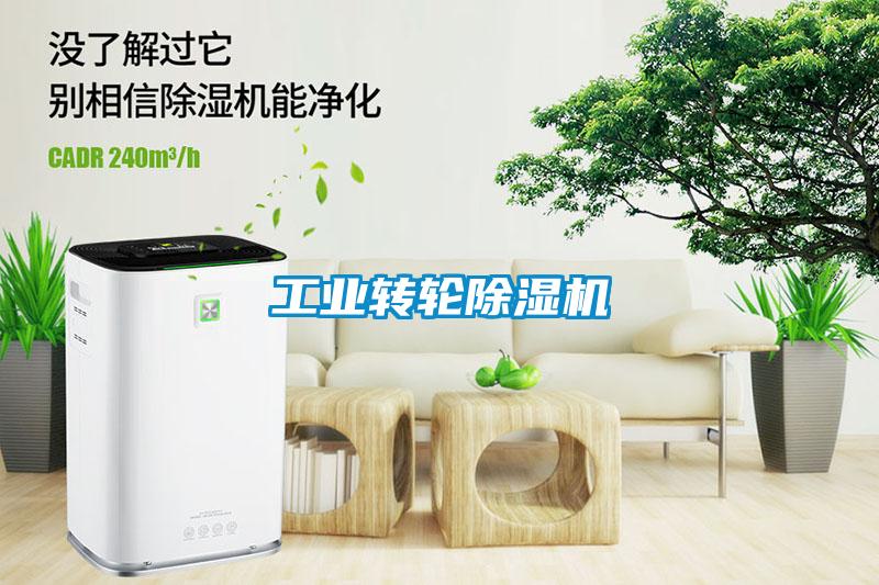 工業(yè)轉(zhuǎn)輪除濕機