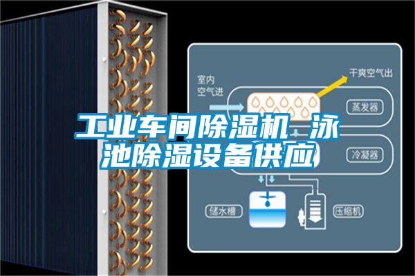 工業(yè)車間除濕機 泳池除濕設(shè)備供應(yīng)