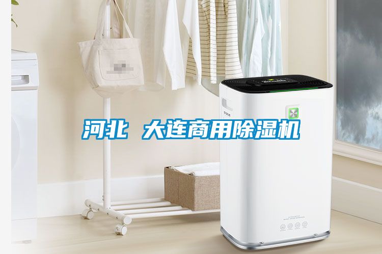 河北 大連商用除濕機(jī)