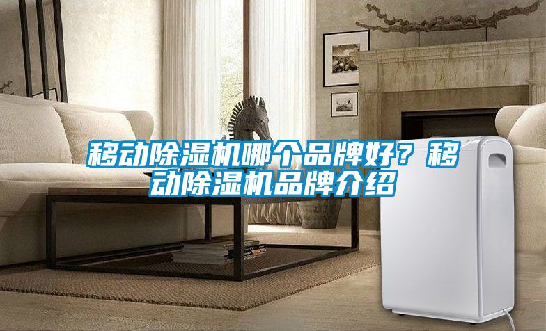 移動(dòng)除濕機(jī)哪個(gè)品牌好？移動(dòng)除濕機(jī)品牌介紹