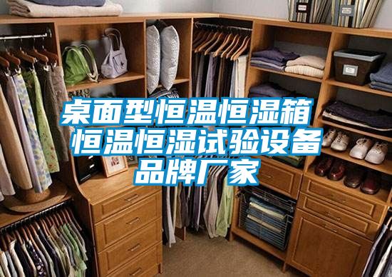 桌面型恒溫恒濕箱 恒溫恒濕試驗(yàn)設(shè)備品牌廠(chǎng)家