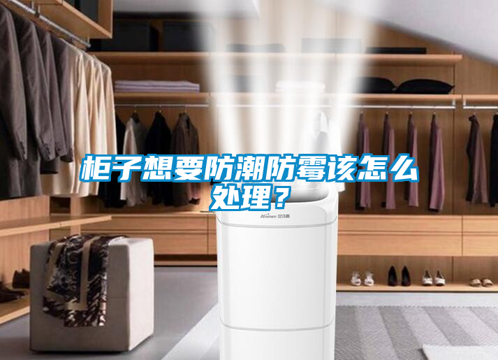 柜子想要防潮防霉該怎么處理？